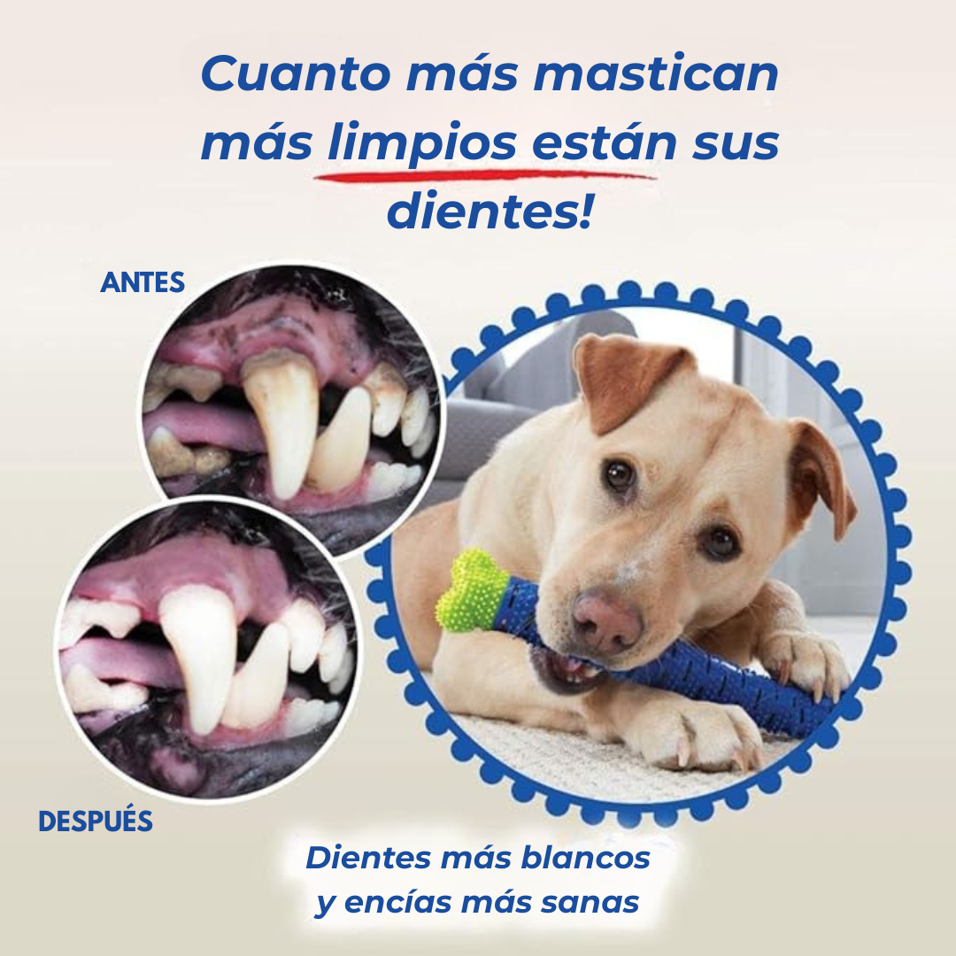 CHEWBRUSH™ Cepillo y Juguete para mascotas