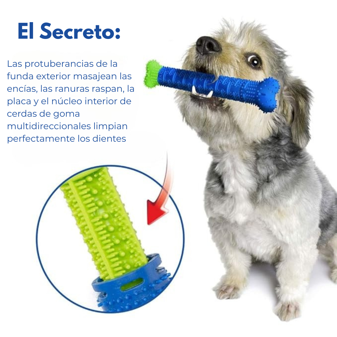 CHEWBRUSH™ Cepillo y Juguete para mascotas