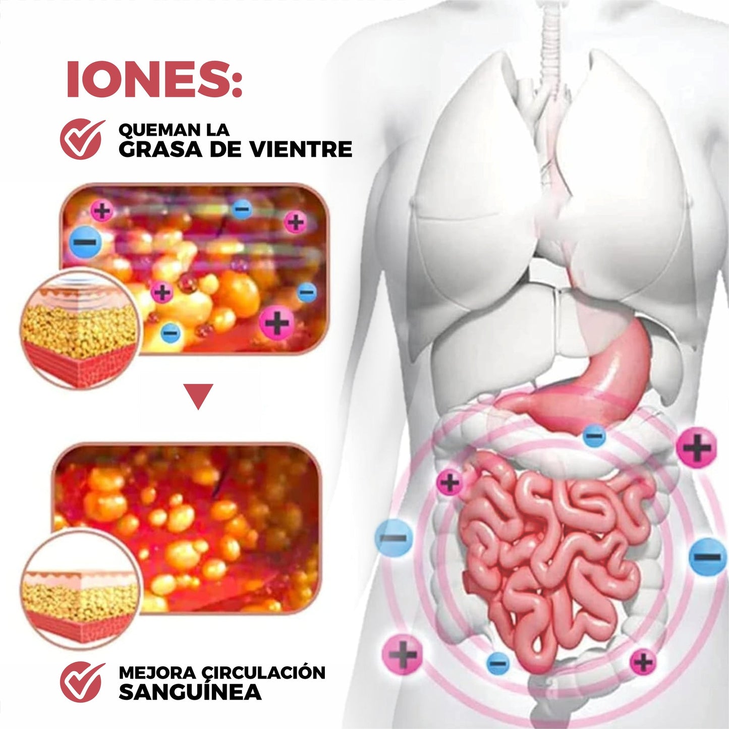 Faja GlowLine™ Levanta Glúteos