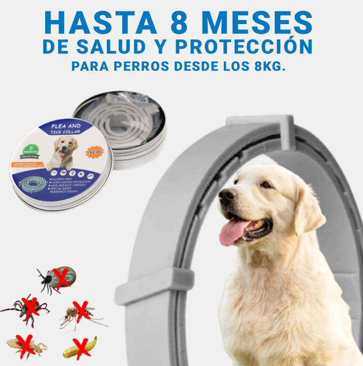 OFERTA 2 x 1 - COLLAR ANTIPULGAS PARA MASCOTAS